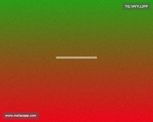 广东宏远篮球俱乐部新赛季首场比赛激情开打球迷热情助威共创辉煌战绩