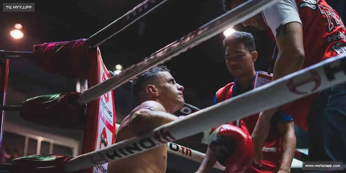 PA视讯平台——🎳保龄球道，全中喝彩！